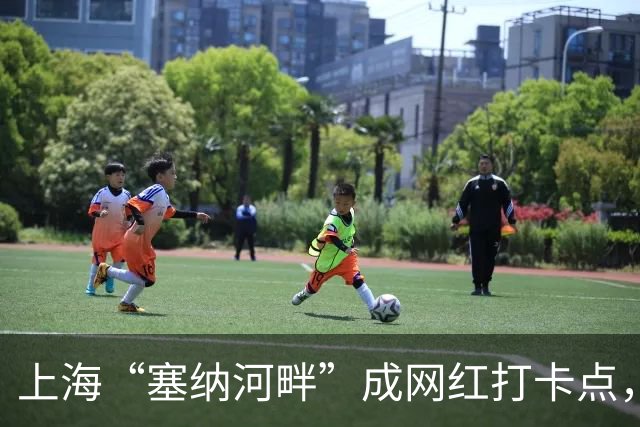 上海“塞纳河畔”成网红打卡点，不少人为“出片”爬上两三米高的防汛墙顶部，工作人员紧急叫停